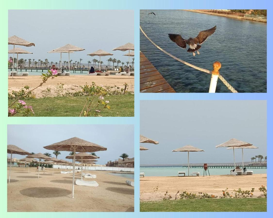 Scandic Resort: Comfy & Cozy. A433 Hurghada Esterno foto